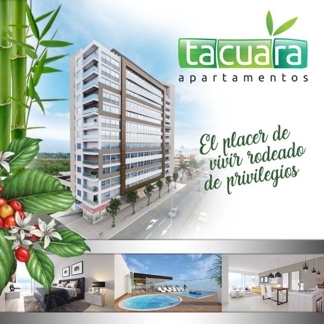 TACUARA APTOS A LA VENTA