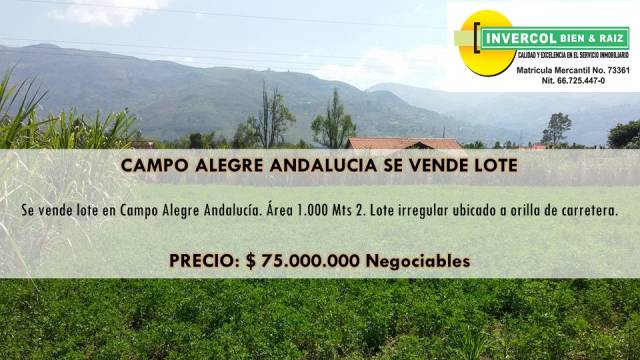 SE VENDE LOTE EN CAMPO ALEGRE ANDALUCIA