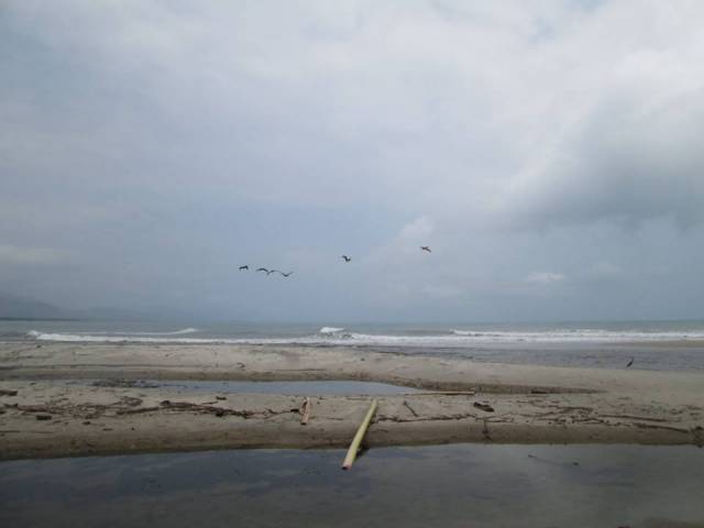 TERRENO DE 2 HTS CON 300 MTS DE PLAYA EN BURITACA.