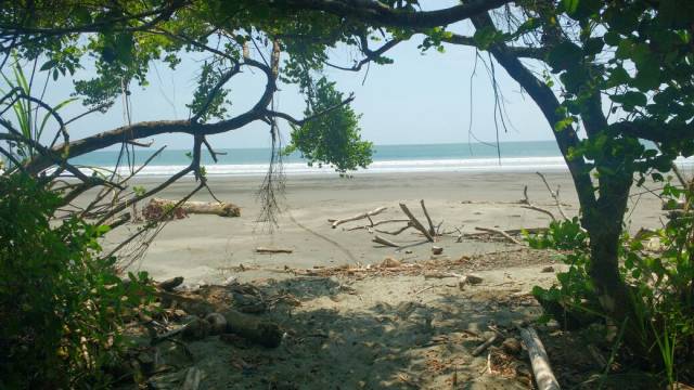 Hermoso terreno en la playa Nuquí - Tribugá