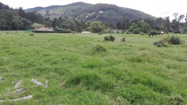 ARRIENDO LOTE  SECTOR  TORCA  2000  m2