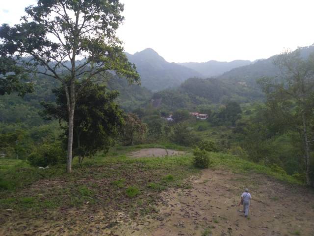 LA VEGA : Lotes 4.500 metros cuadrado proyecto campestre