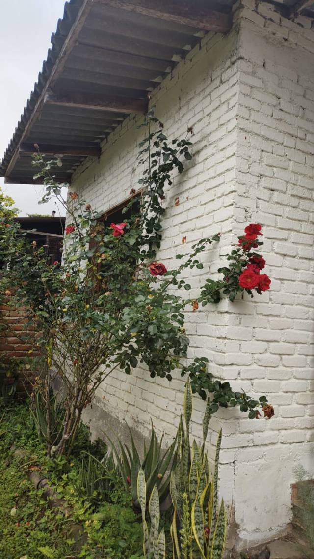 Oportunidad vendo hermosa casa