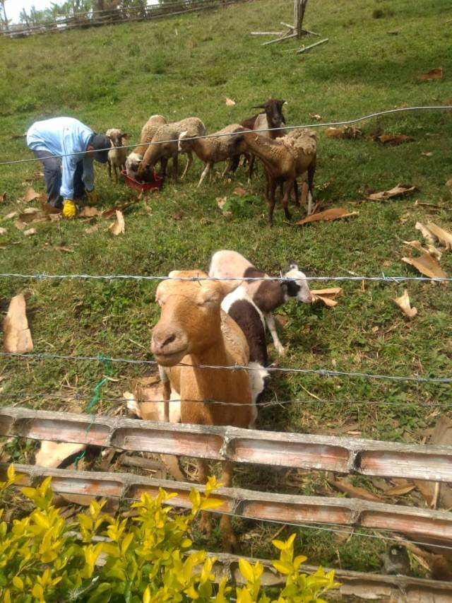 VENTA DE FINCA EN RESTREPO VALLE