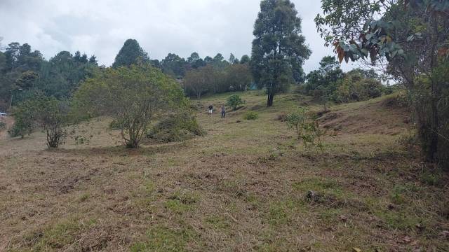 Lote en Guarne, vereda La Pastorcita