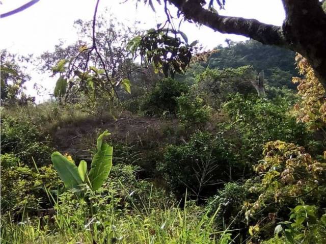 Venta de lote ubicado en el municipio de La Peña (Cundinamarca)