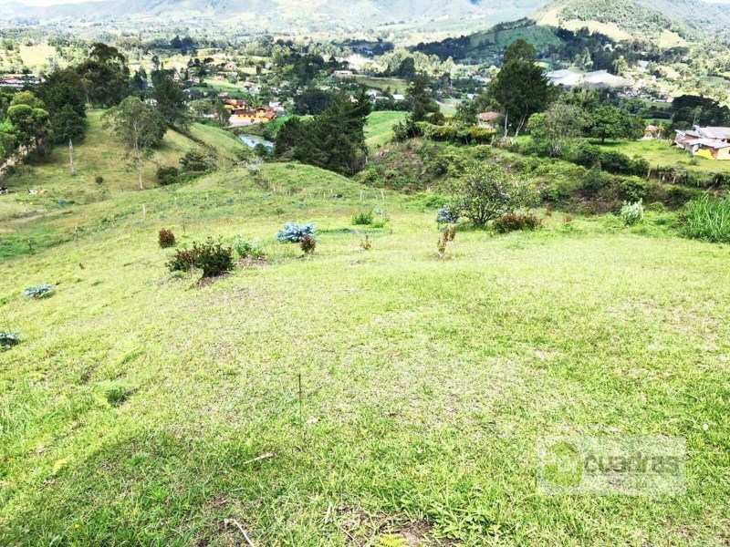 FINCA EN EL CAPIRO