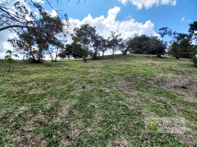 LOTE EN EL CARMEN DE VIBORAL