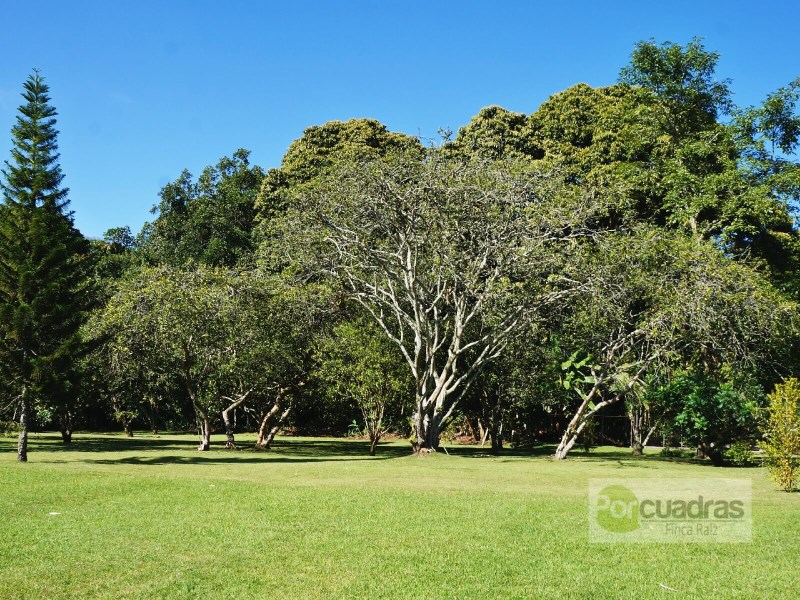 LOTE LLANOGRANDE