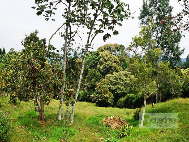 FINCA VIVIENDA