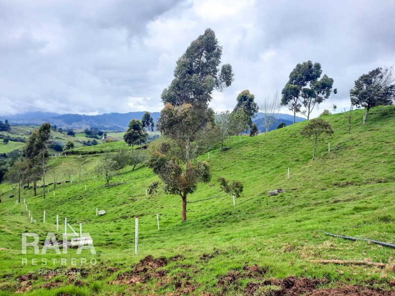 Finca en Venta, La Unión, Mesopotamia