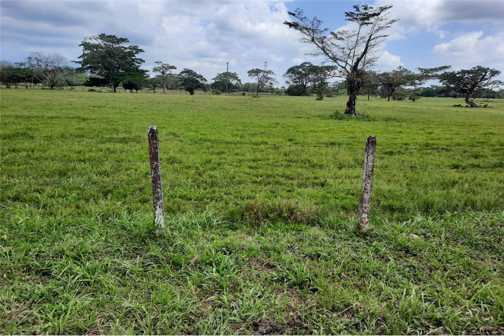 FINCA VIA VILLAVICENCIO- RESTREPO, 4 CASAS, PISCIN