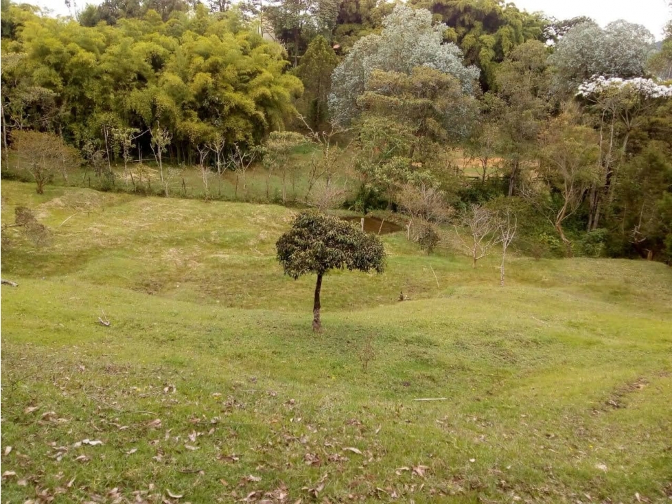 CASA FINCA EN VENTA EN GUARNE