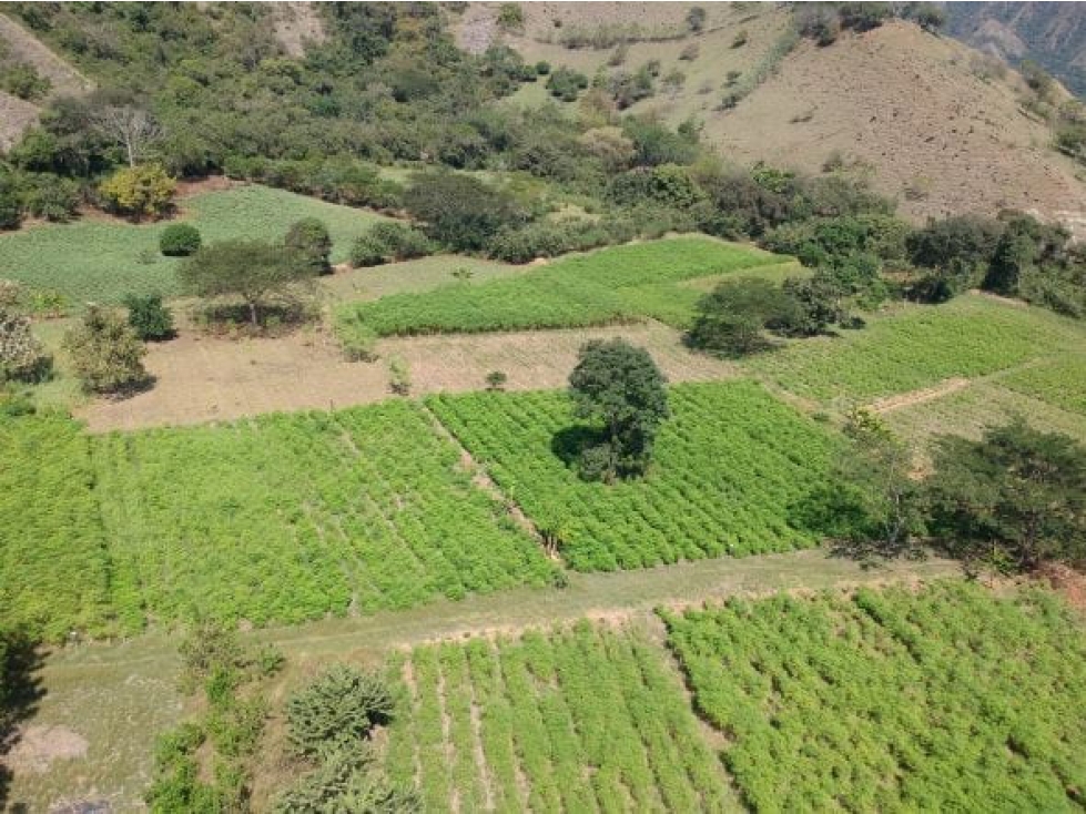 Venta de Finca Santa Fe de Antioquia