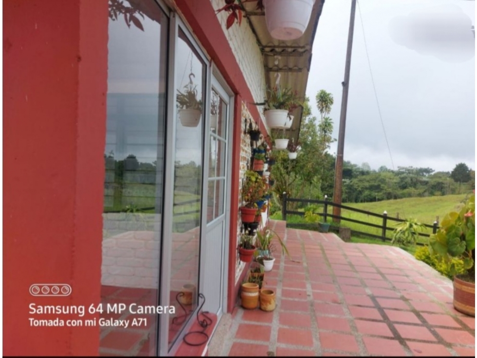 SE VENDE CASA CAMPESTRE EN FILANDIA QUINDIO