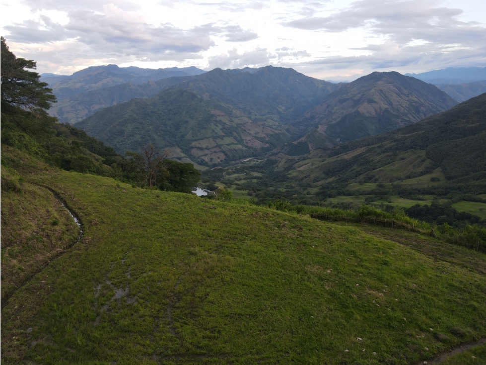 VENTA LOTE SALGAR, UNIDAD CERRADA,  SUROESTE ANTIOQUEÑO