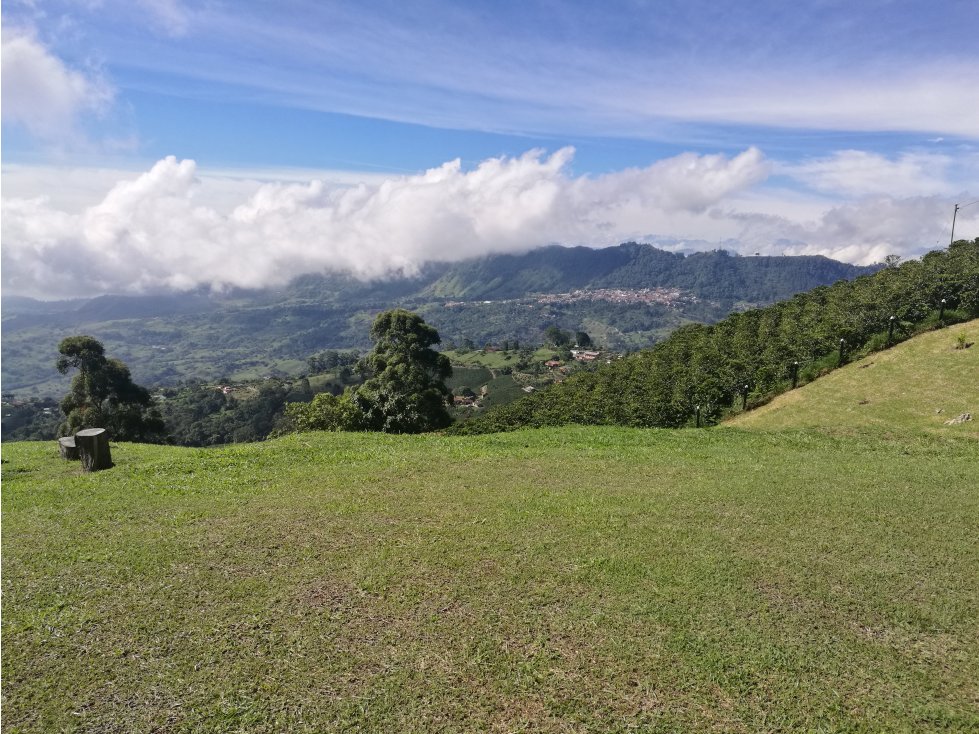 VENTA DE FINCA EN FREDONIA - SUROESTE ANTIOQUEÑO