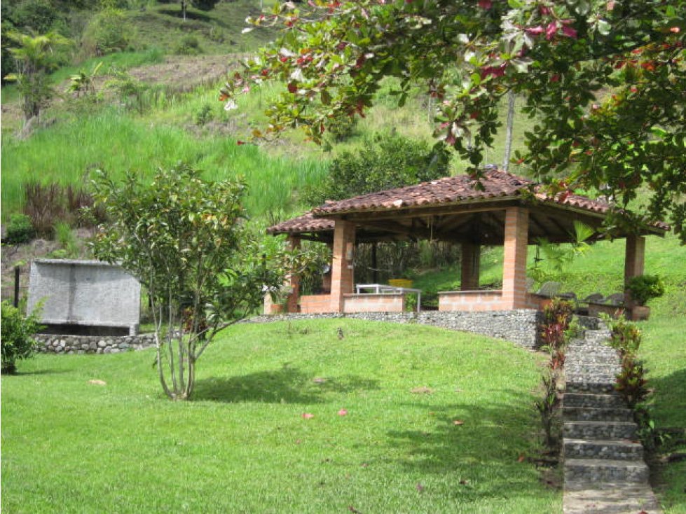 VENTA DE FINCA EN FREDONIA, SUROESTE ANTIOQUEÑO