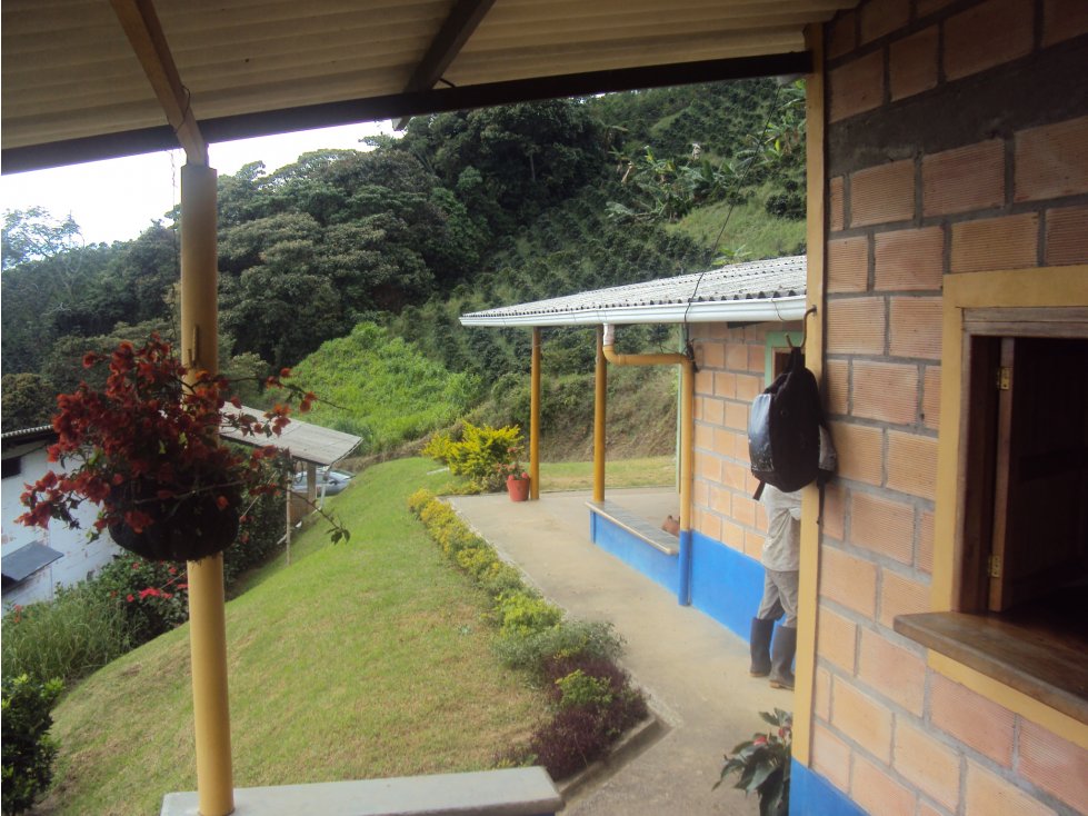 VENTA DE FINCA EN FREDONIA - SUROESTE ANTIOQUIA