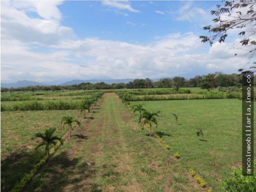 Lotes  Campestres en Conjunto Cerrado