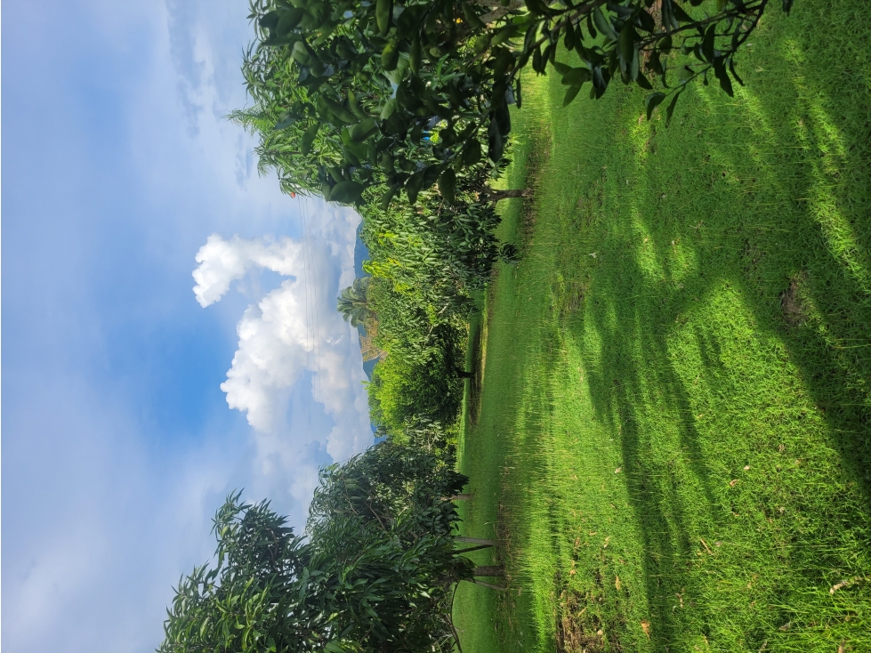 FINCA SAN BASILE EN LA MESA CUNDINAMARCA