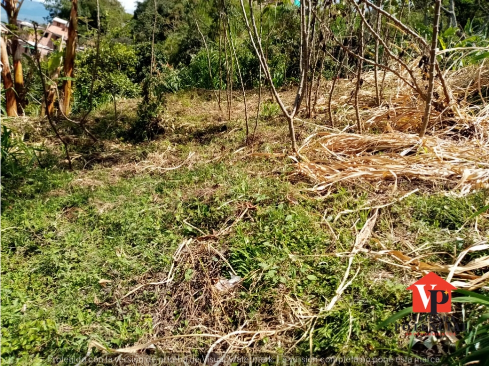 VENTA DE SOLARES EN SAN ANTONIO DE PRADO NARANJITO