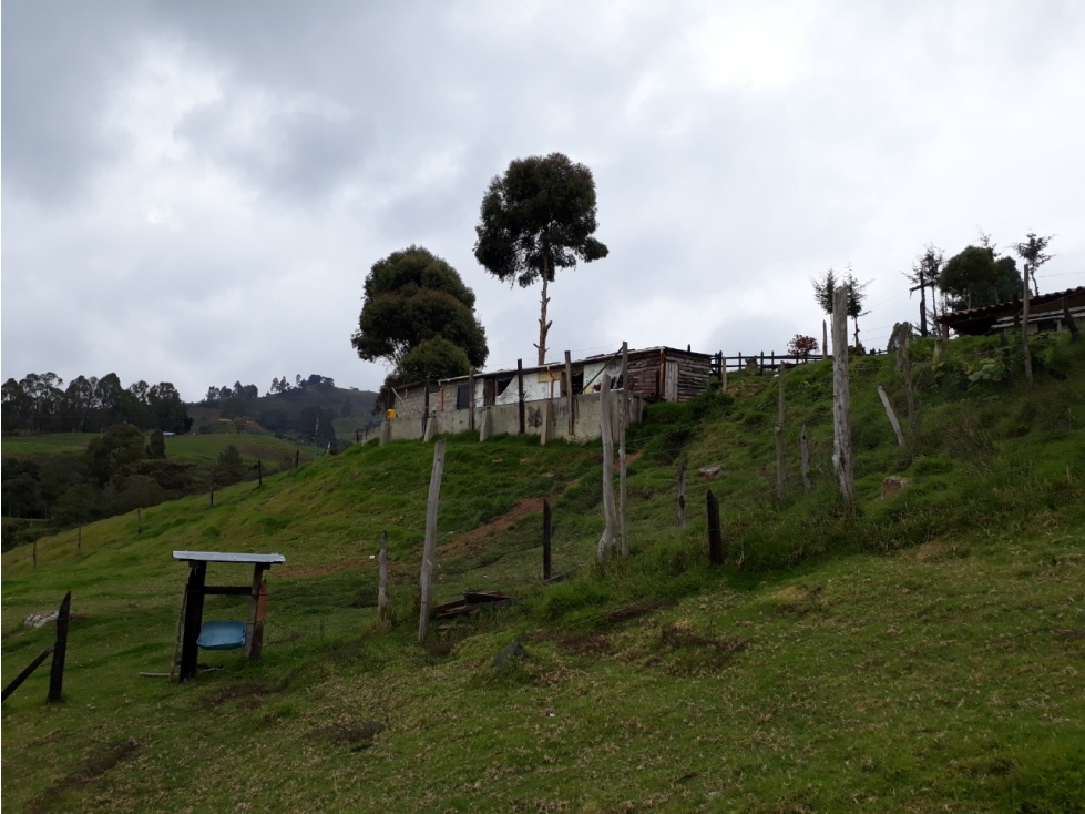 CASA CAMPESTRE BONITA Y EN BUEN VECINDARIO EN BELMIRA