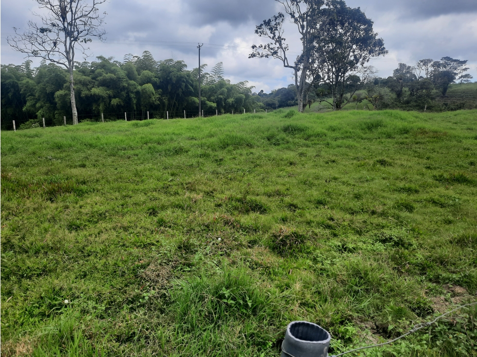 LOTE DE TERRENO RURAL CIRCASIA QUINDIO