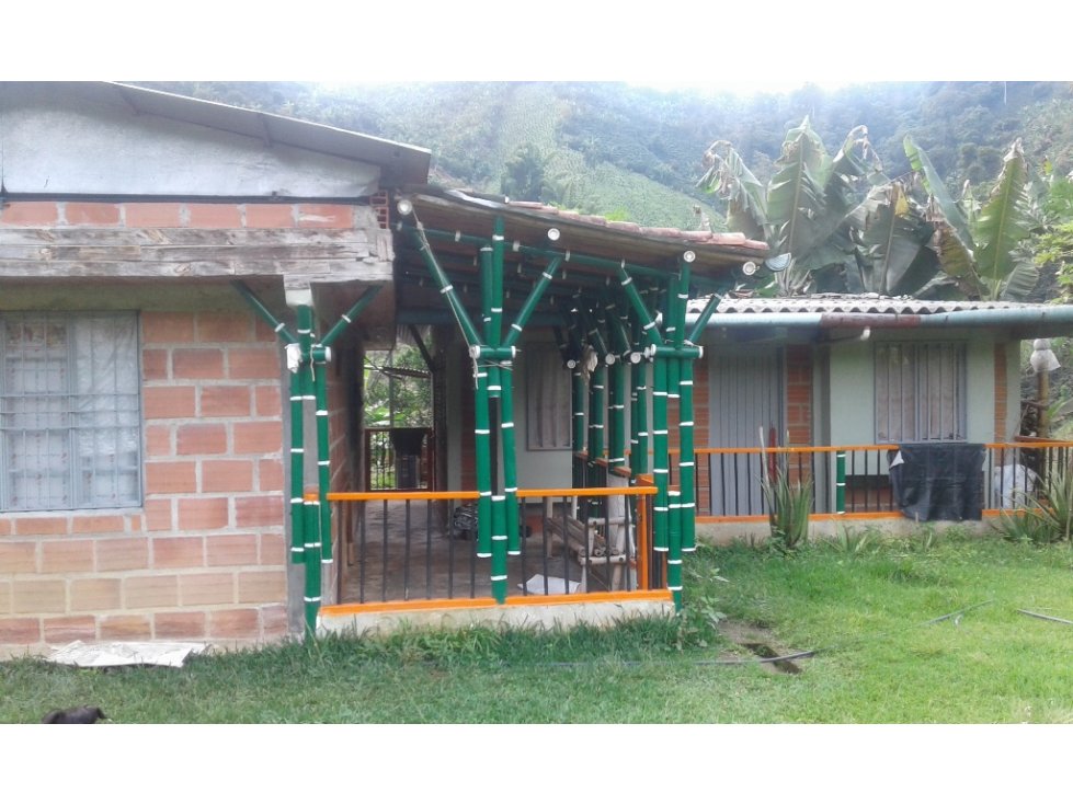 Venta Finca Vereda Manzanares, Manizales