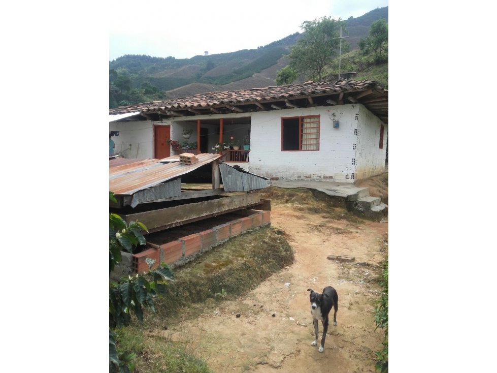 Venta Finca Cafetera , Vereda Partidas, Chinchiná.