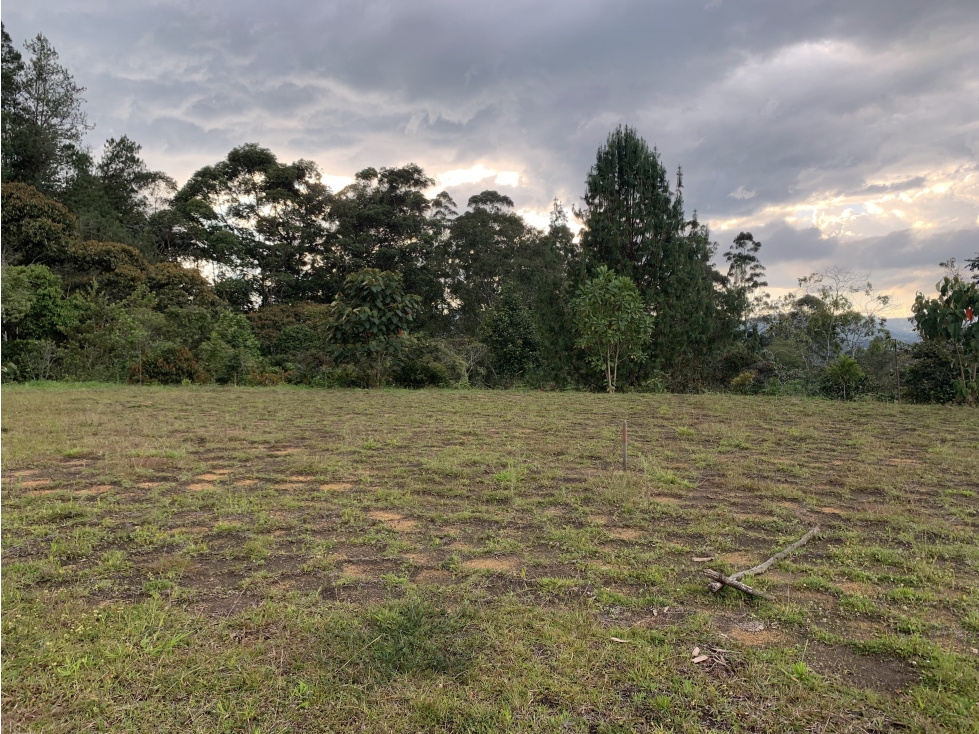 VENTA DE LOTE EN RIONEGRO SECTOR PONTEZUELA