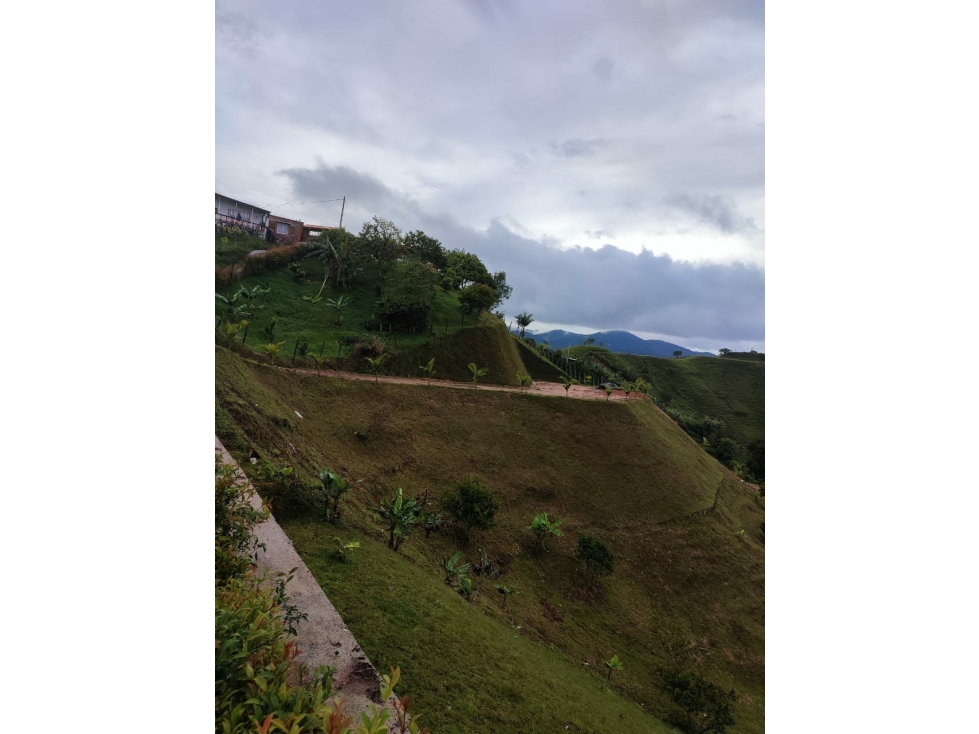 Venta de Lote Sector Vereda Palmira Marial El Peñol