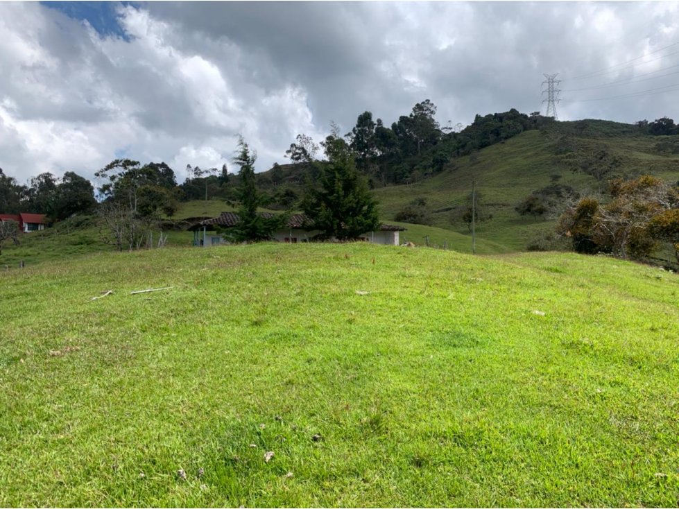 Venta de Lote Sector Vereda La Peña Guatapé