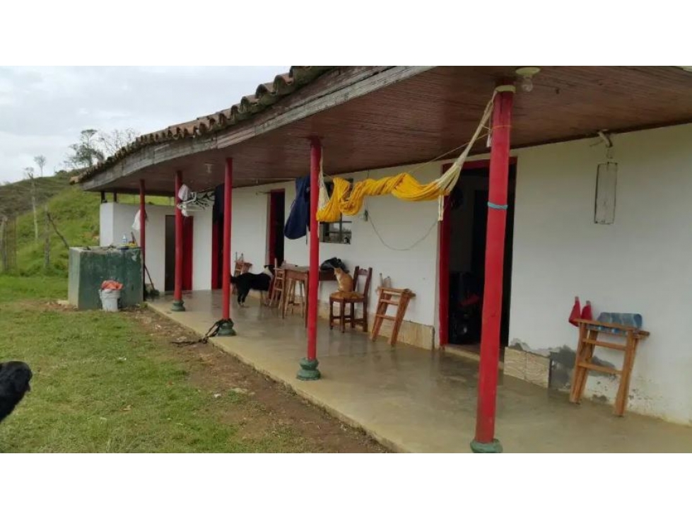 Venta de Finca Productiva Vereda Vallejuelito Carmen de Viboral