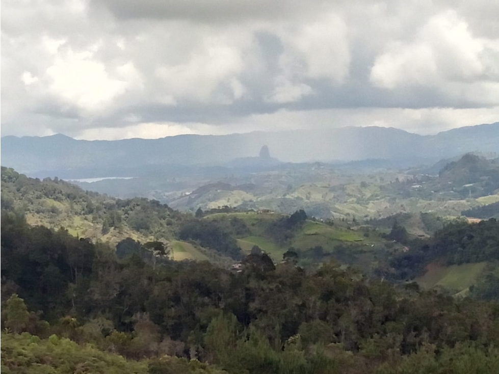 Venta de Lote Sector Vereda Piedra Gorda San Vicente