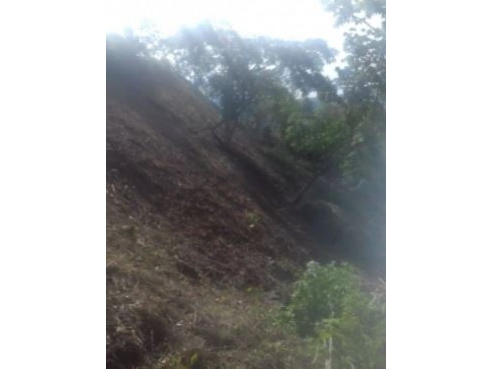 Venta de Lote Vereda Tonusco Santa Fe de Antioquia