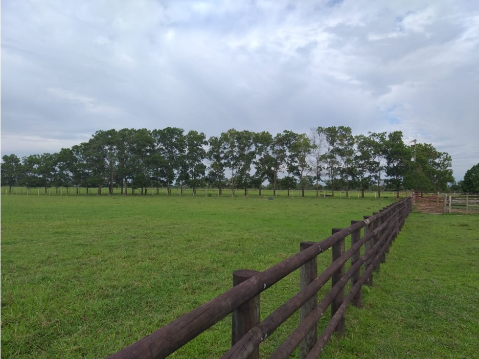 FINCA GANADERA, SECTOR PUETO LOPEZ, META ,  4990 HECTAREAS