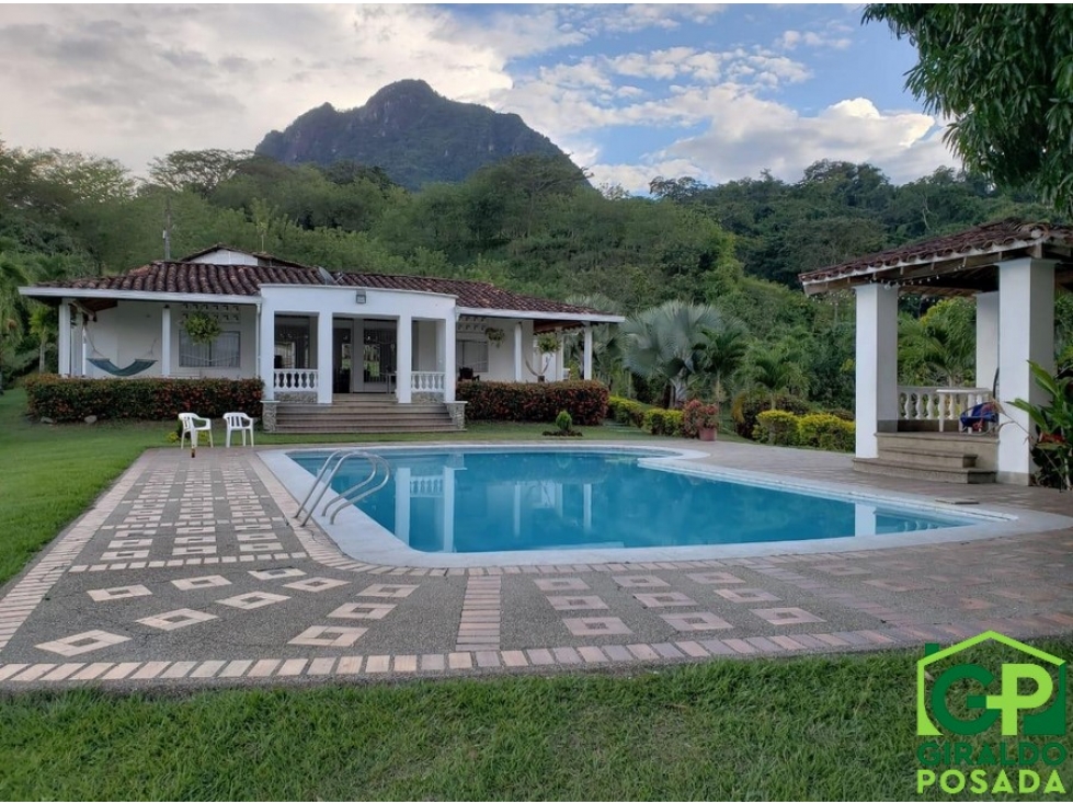 VENDO  FINCA EN LA PINTADA-ANTIOQUIA