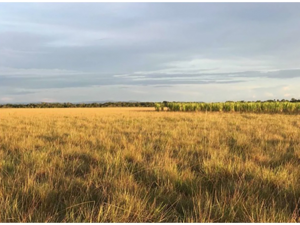 Finca en Vichada - Puerto Carreño