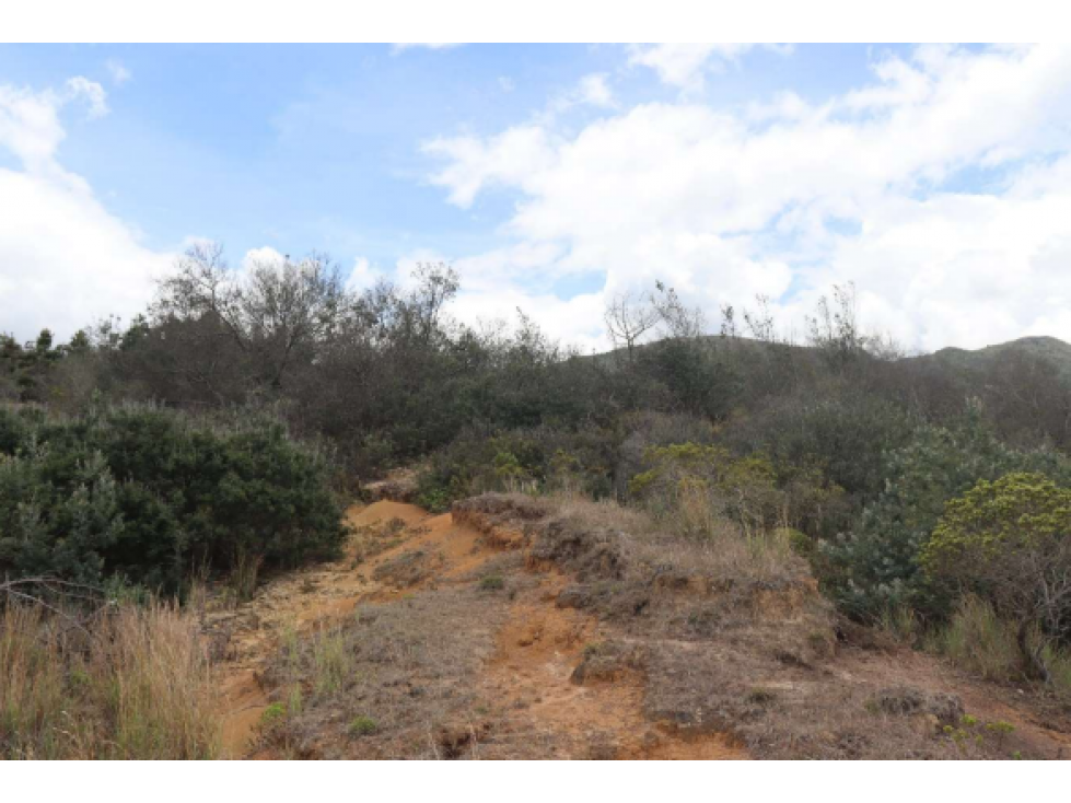 LOTE VEREDA TOMINE, GUATAVITA