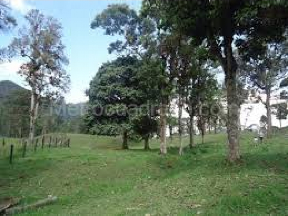 Finca de 4 hectáreas ubicada en la vereda negrete.