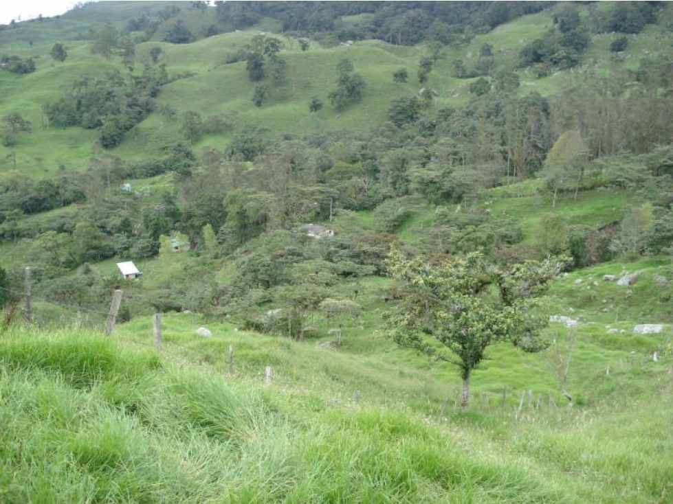 Finca de 2.5 hectáreas ubicada en la vereda mochilero.