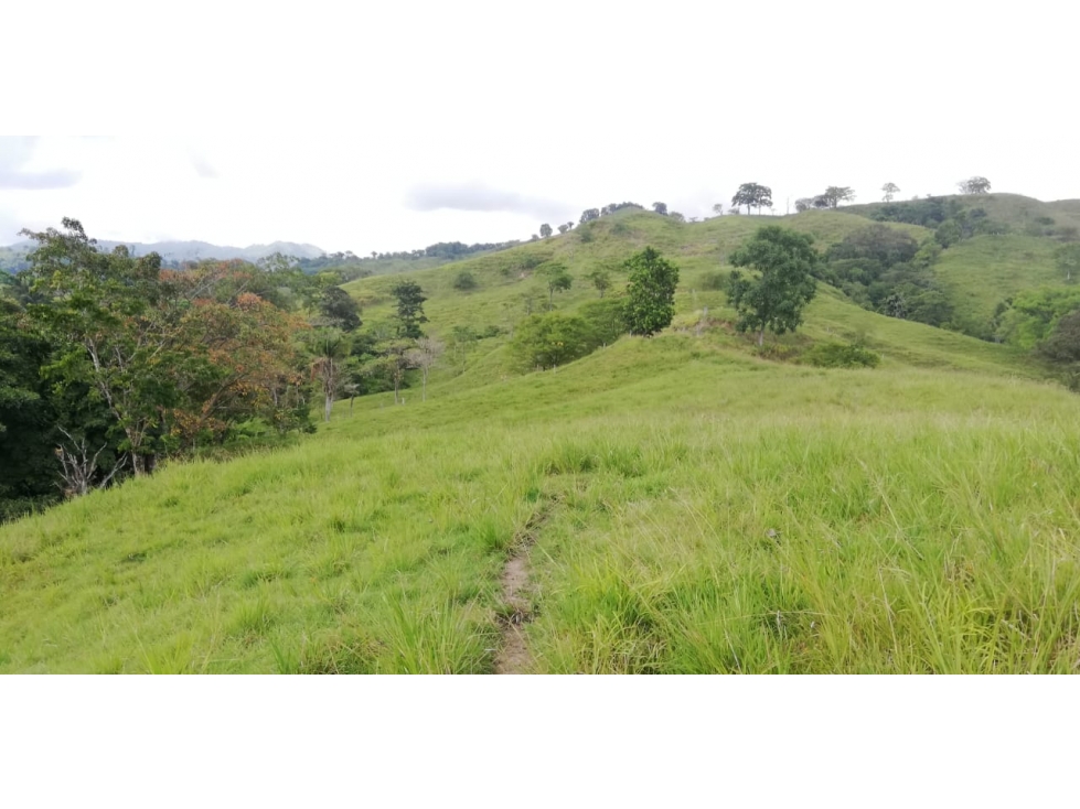 Finca en venta, Vereda Mochilero 2.8 Hectáreas, Agropecuaria