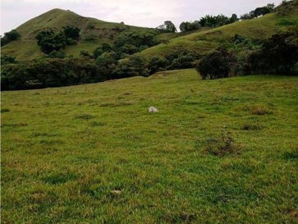 Maravillosa finca con casa construida en la vereda Mochilero