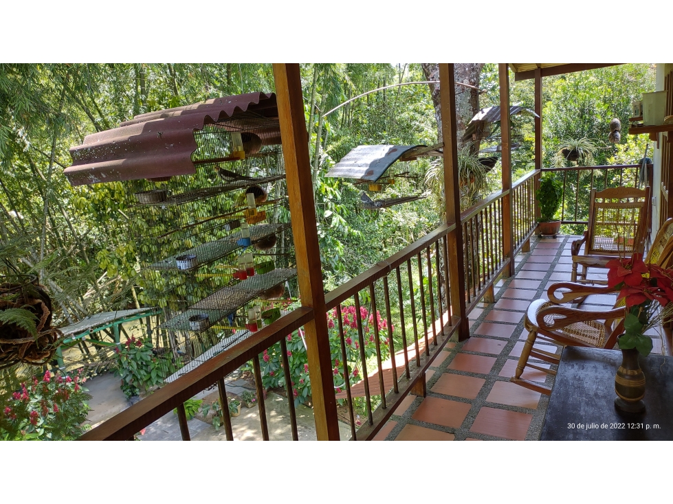 Venta de finca en San Rafael, Antioquia