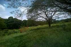 Finca en Venta en Bosconia