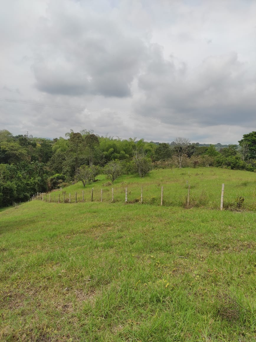 VENTA LOTE  SECTOR VEREDA LA POPA  LA TEBAIDA Q.