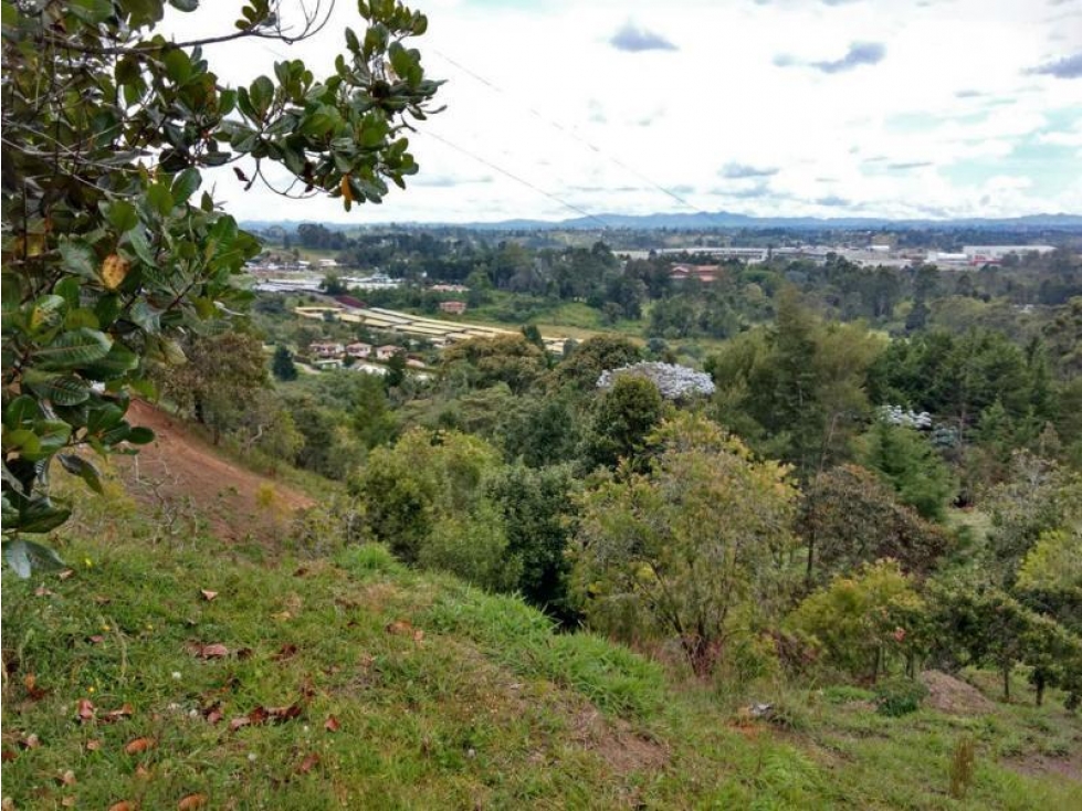 Lote en Venta en Rionegro, sector de llanogrande