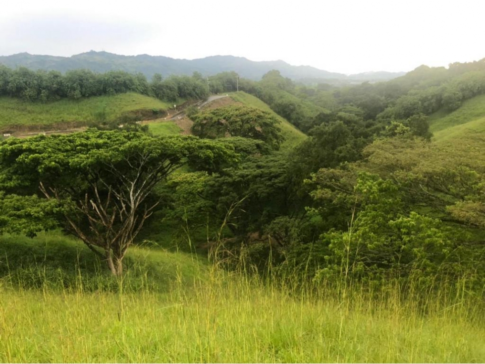 Lote en Vender en Cartago