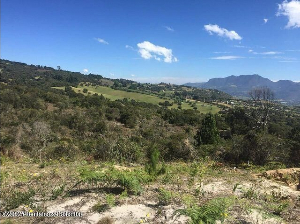 Lote en  Yerbabuena(Chia) RAH CO: 23-437